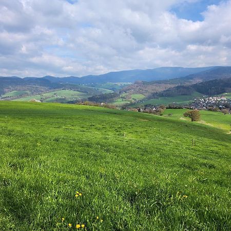 Ferienwohnung Herzlicht Titisee-Neustadt Exteriér fotografie