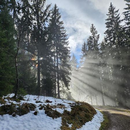Ferienwohnung Herzlicht Titisee-Neustadt Exteriér fotografie