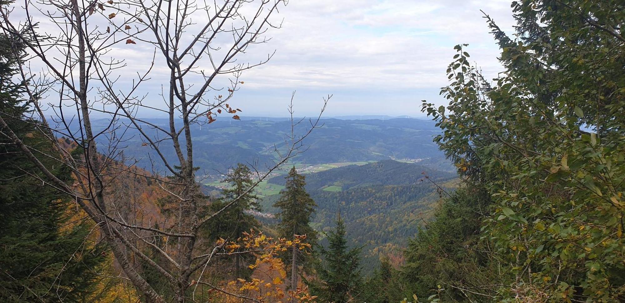 Ferienwohnung Herzlicht Titisee-Neustadt Exteriér fotografie