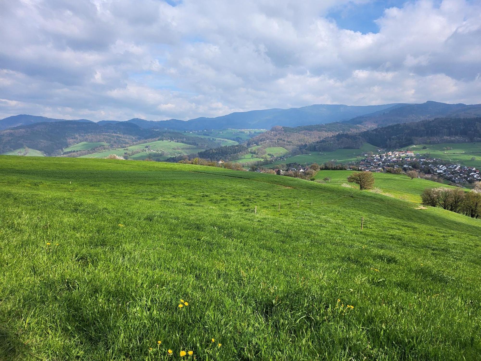 Ferienwohnung Herzlicht Titisee-Neustadt Exteriér fotografie