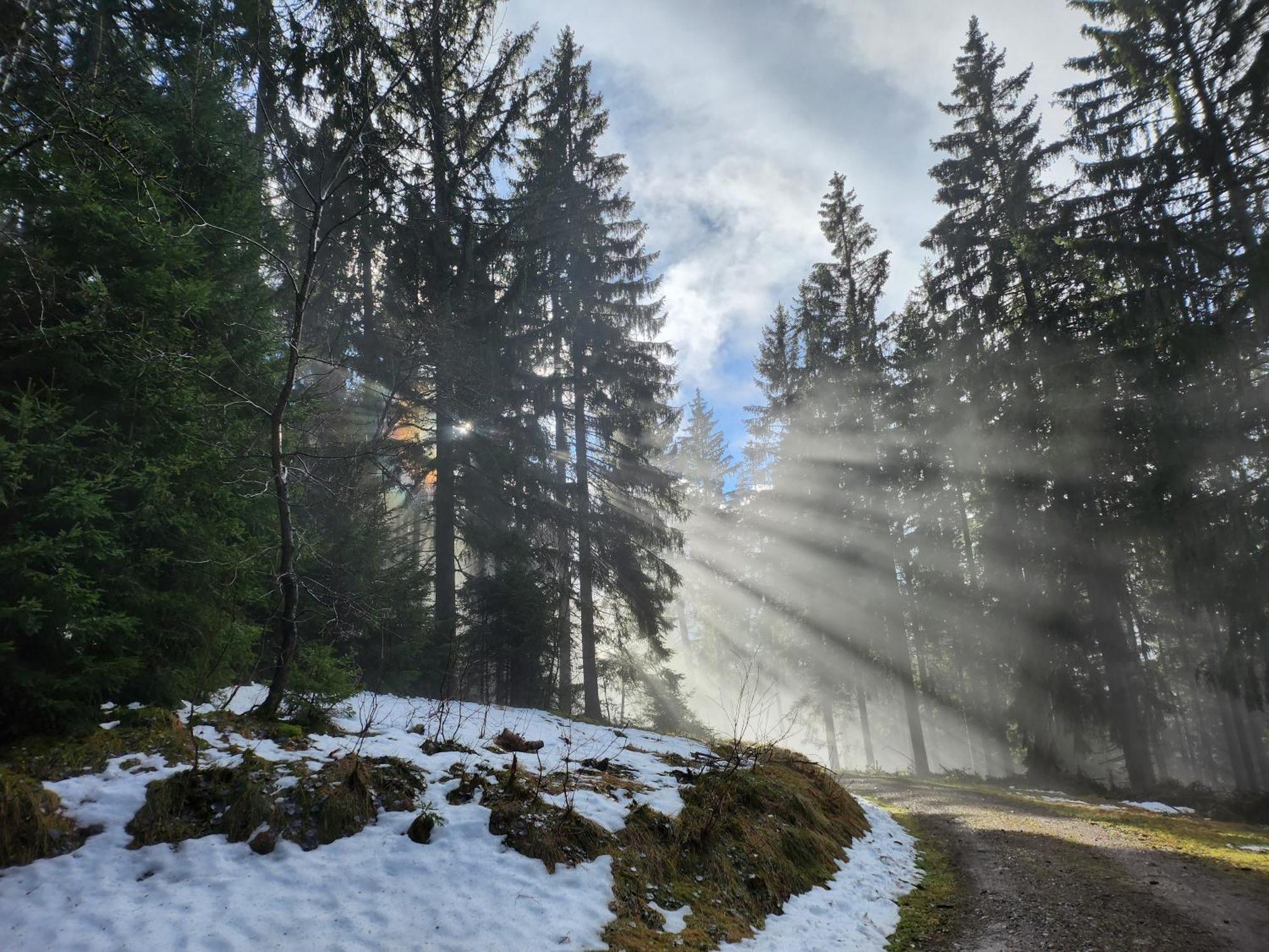 Ferienwohnung Herzlicht Titisee-Neustadt Exteriér fotografie