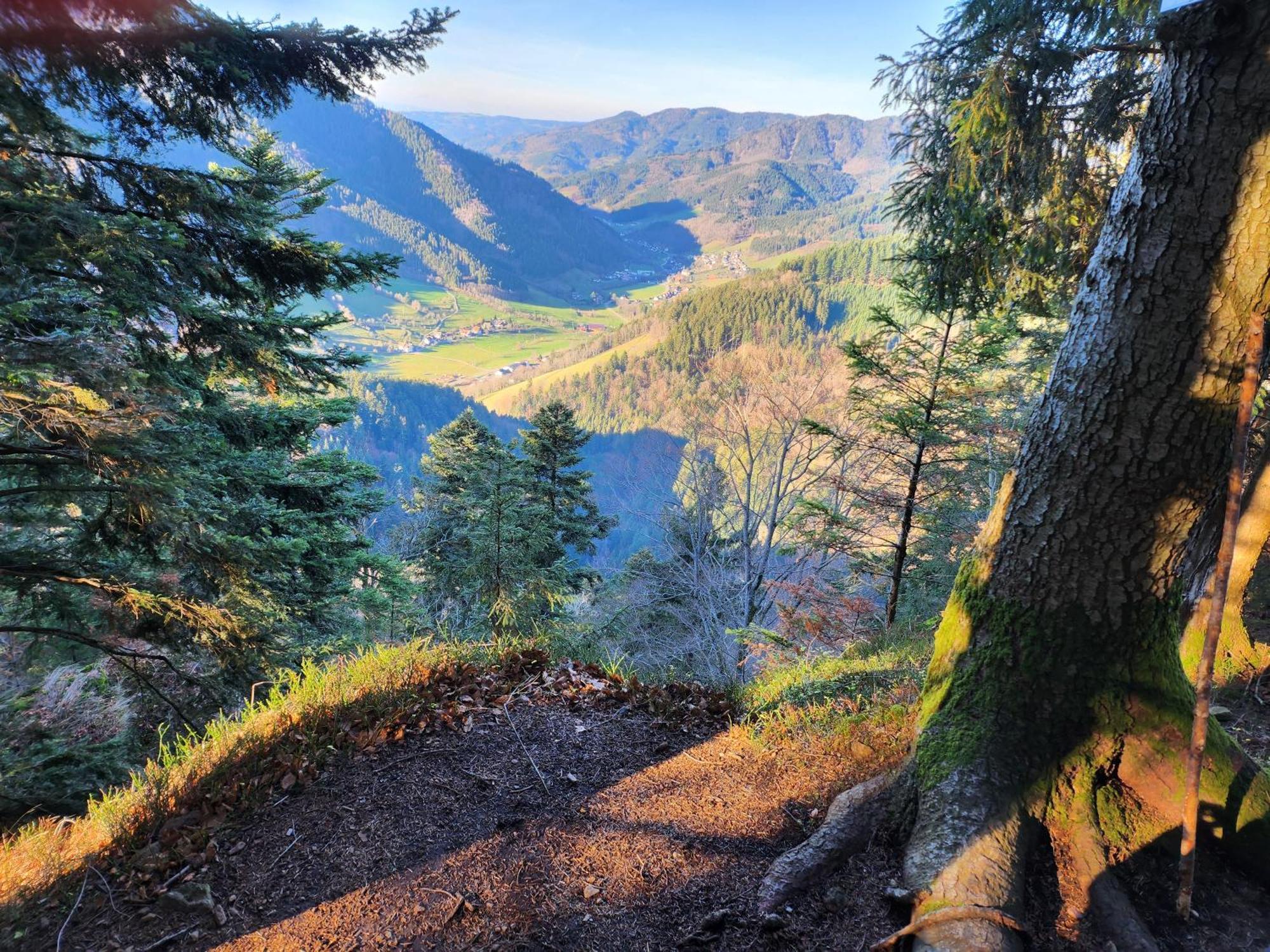 Ferienwohnung Herzlicht Titisee-Neustadt Exteriér fotografie